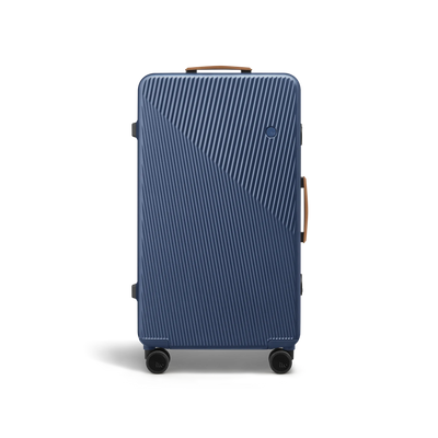 GINKGO 4 striped trunk Check-In Large Luggage