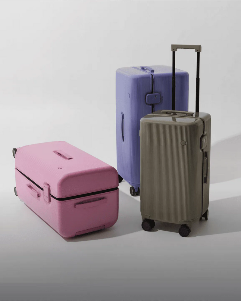 Check-In Luggage