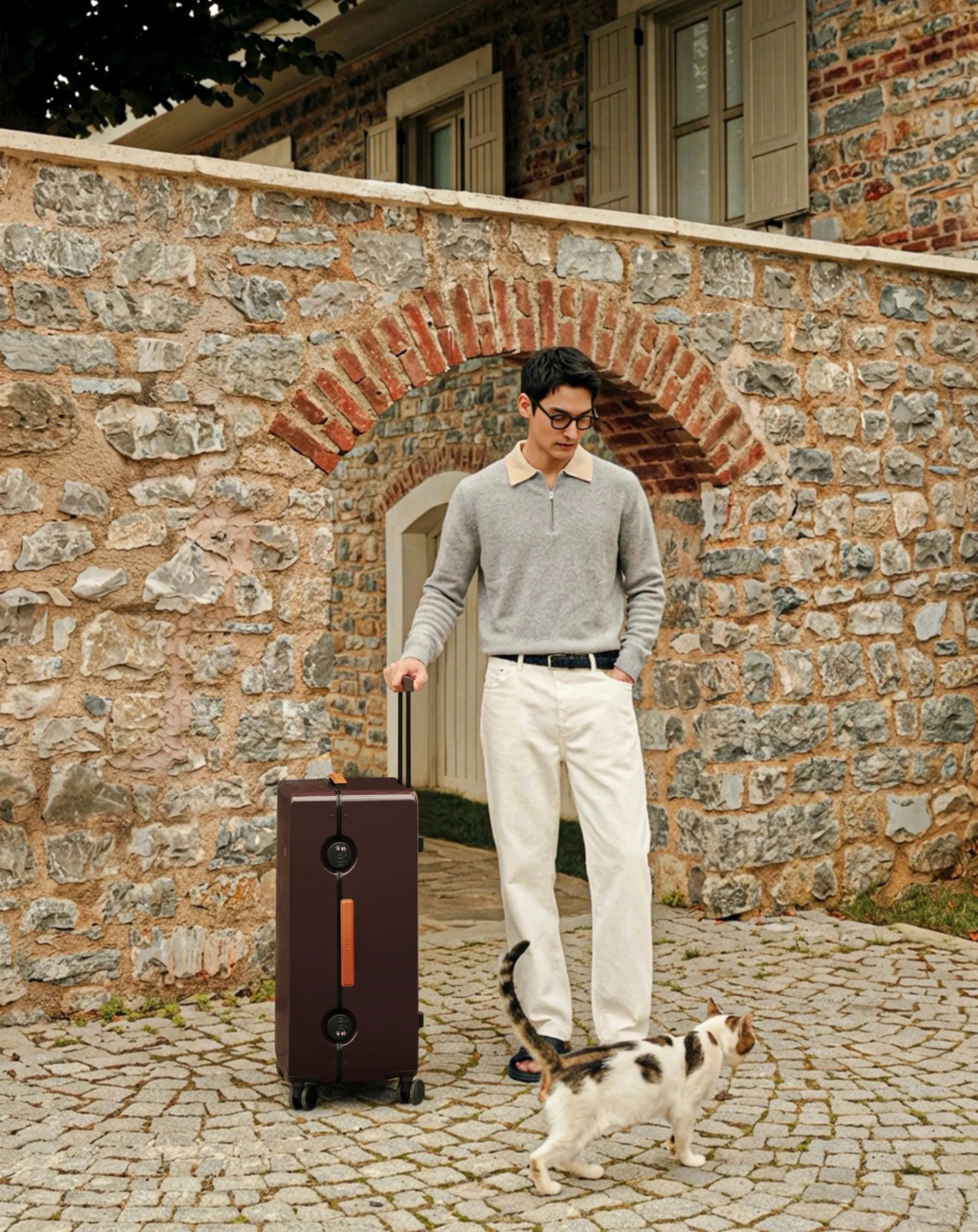 GINKGO 4 striped luggage