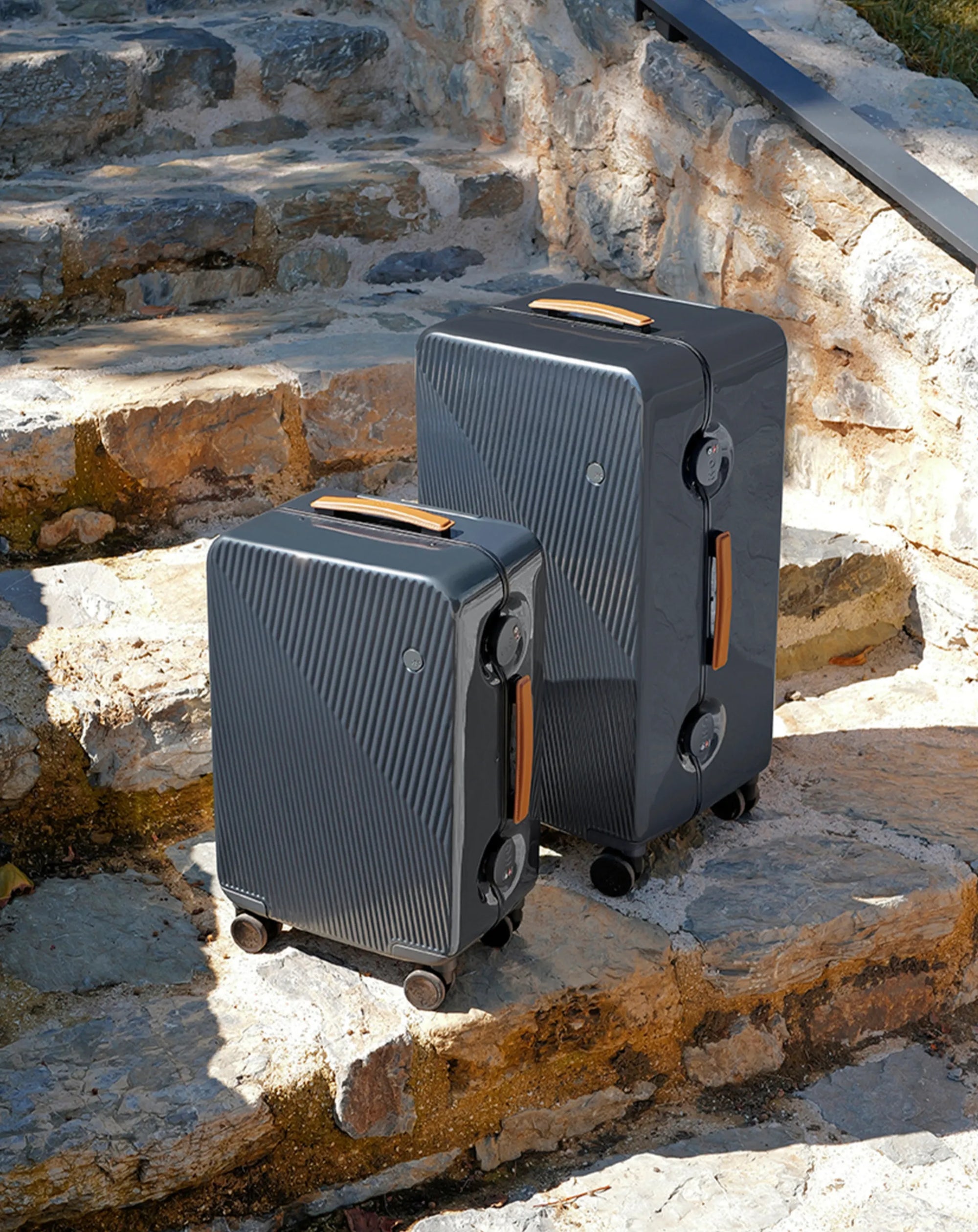 GINKGO 4 striped luggage